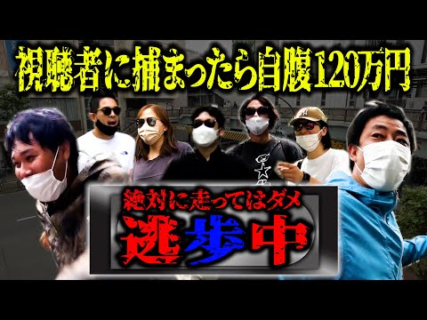 視聴者に捕まったら自腹120万円！絶対に走ってはいけない『逃歩中』開催！！