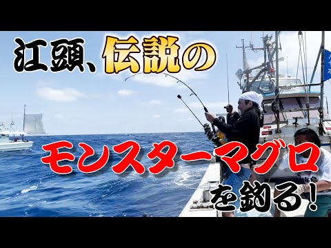 【江頭釣り部】江頭、伝説の巨大モンスターマグロを釣る！